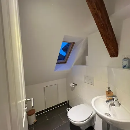 Apartamento Ludwigshome Zentralste Lage, Klima, Smarttv, Terrasse